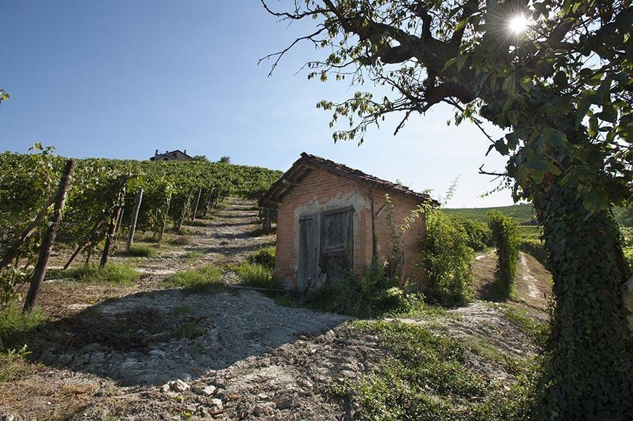 Cascina Ballarin Vila La Morra Exterior foto