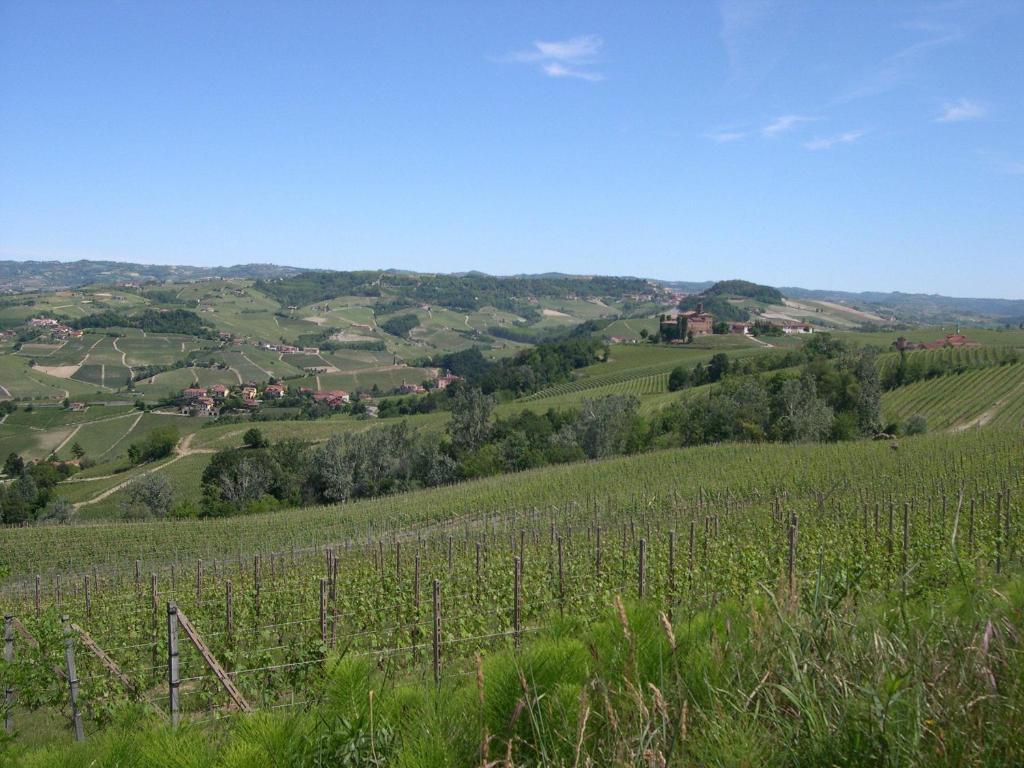 Cascina Ballarin Vila La Morra Exterior foto