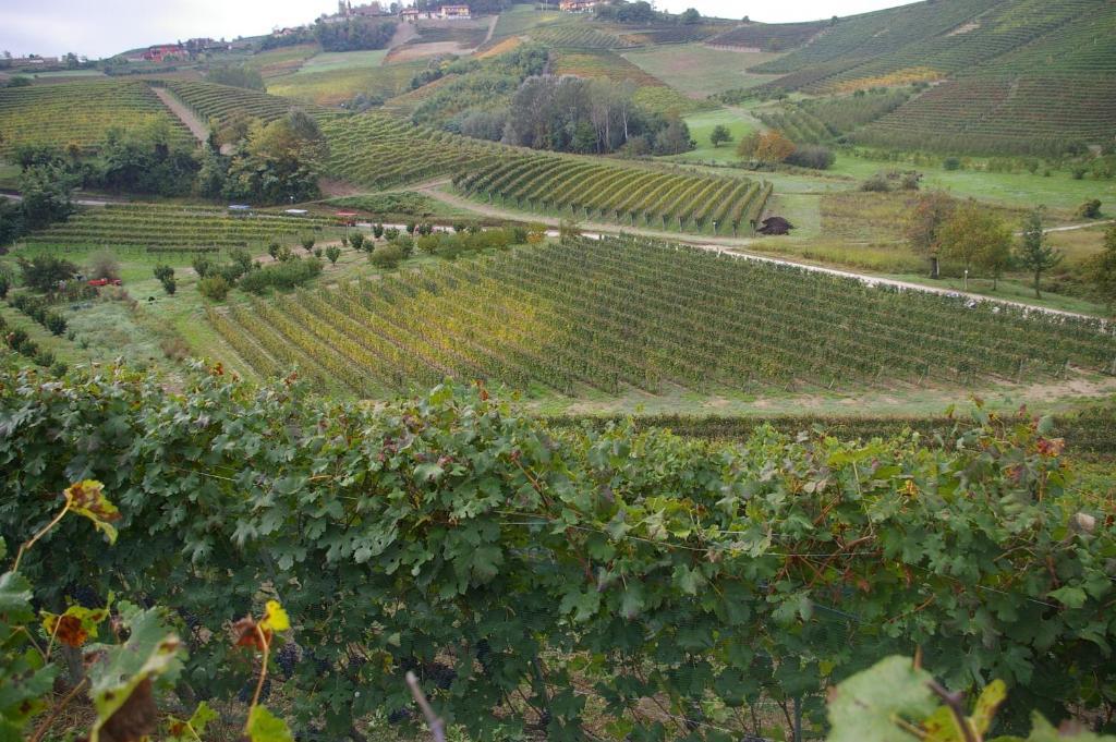 Cascina Ballarin Vila La Morra Exterior foto