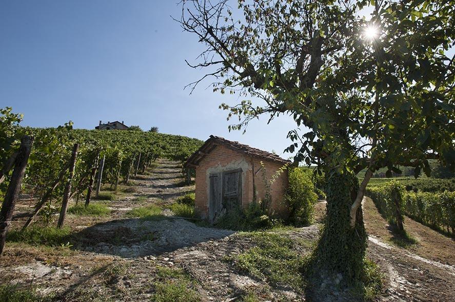 Cascina Ballarin Vila La Morra Exterior foto